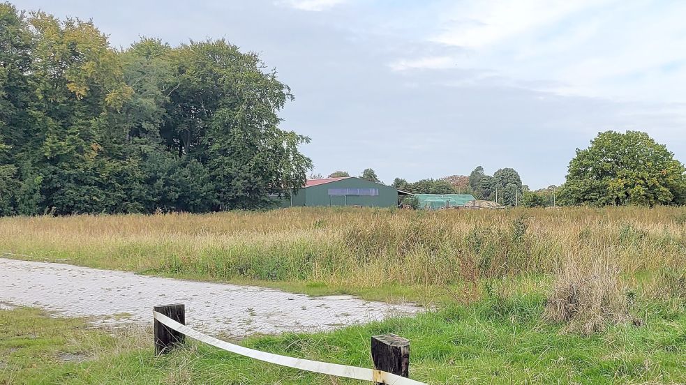 Auf dieser Fläche standen bis zum vergangenen Jahr die Ställe des PSV Norderland. Seit dem Abriss ist die Fläche ungenutzt. Im Hintergrund ist der benachbarte Hof von Landwirt Kleemann zu sehen, auf dem die Reiter für einen Übergangszeitraum Unterschlupf gefunden haben. Foto: Rebecca Kresse