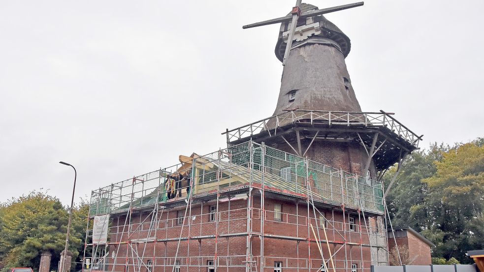 Das neue Dach des eingerüsteten Packhauses der Schewelingschen Mühle in Marienhafe nimmt Form an. Foto: Thomas Dirks
