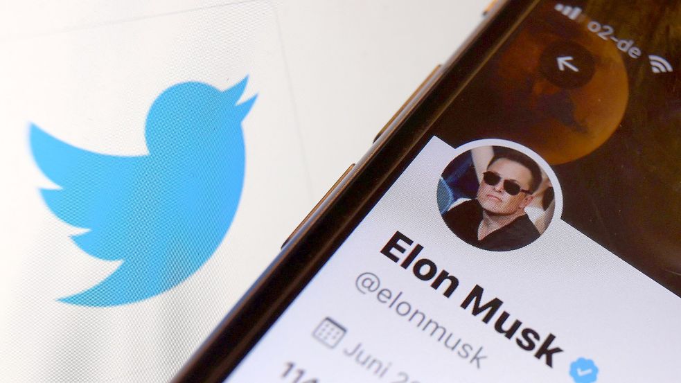 Der Twitter-Account von Elon Musk ist vor dem Logo der Nachrichten-Plattform Twitter zu sehen. Foto: Karl-Josef Hildenbrand/DPA
