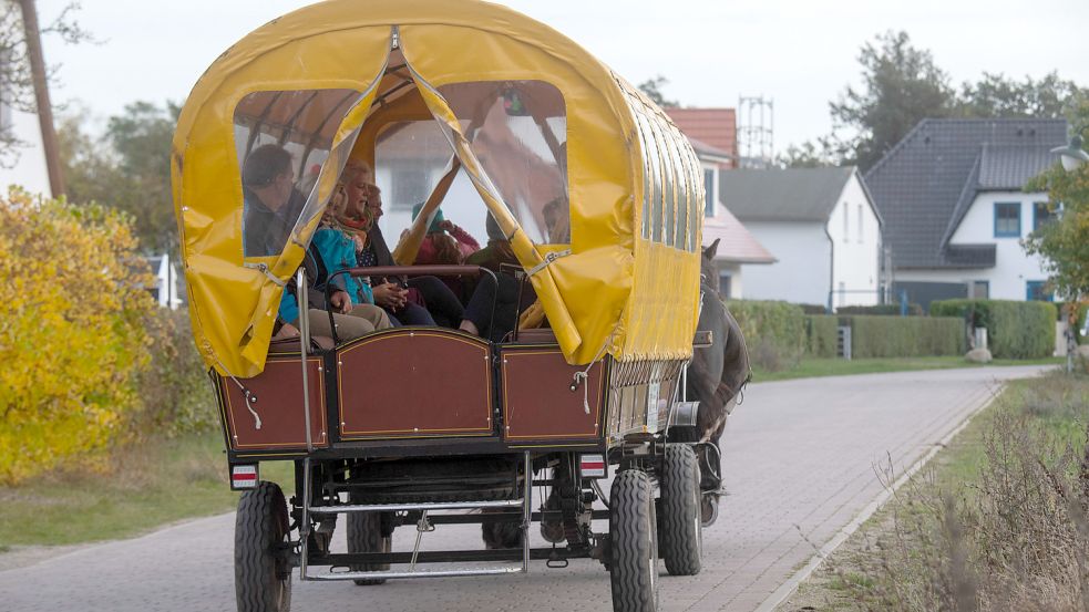 Pferdekutsche statt Bus heißt es momentan auf der beliebten Urlaubsinsel Hiddensee. Foto: Stefan Sauer/dpa