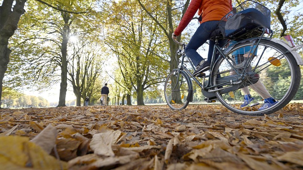 Die Bedingungen für Radfahrer sollen nach dem Willen der SPD/Linke-Gruppe verbessert werden. Foto: Roberto Pfeil/DPA