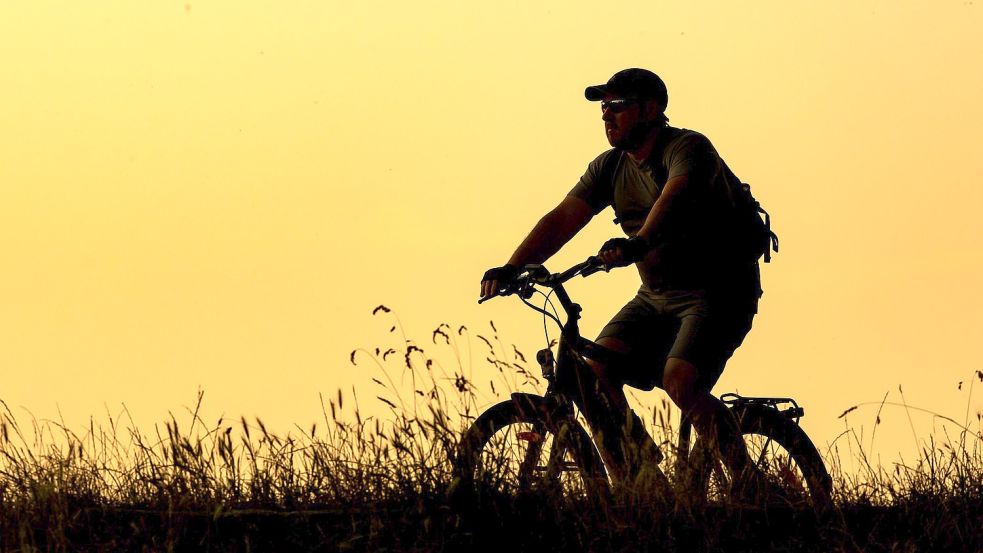 Ein Radfahrer ist in der Natur unterwegs. Foto: Sina Schuldt/DPA