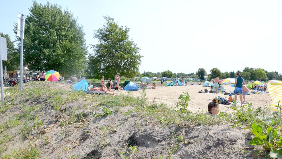 An einem Wall am Großen Meer wucherte im Sommer Unkraut. Foto: Franziska Otto