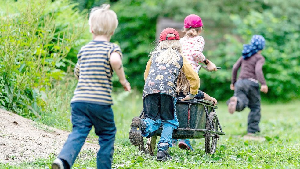 Kinder spielen im Wald mit einem Anhänger. Foto: DPA