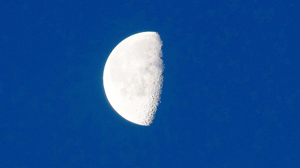Der Halbmond ist am frühen Morgen über Berlin zu sehen. Foto: Paul Zinken/dpa