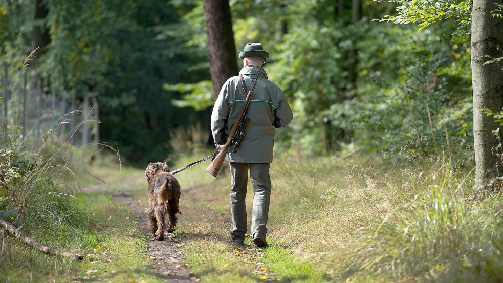 Ein Jäger geht mit einem Gewehr über der Schulter und einem Jagdhund an der Leine über einen Waldweg. Für die Tiere sollen in Großefehn weiterhin Steuern gezahlt werden. Foto: DPA