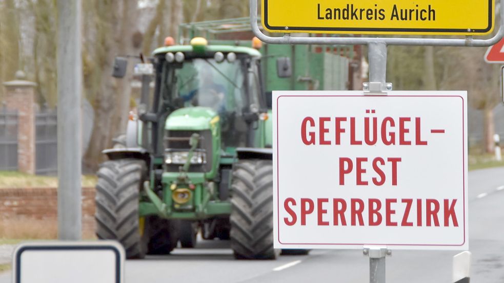 In Großefehn ist die Geflügelpest ausgebrochen. Foto: Thomas Dirks