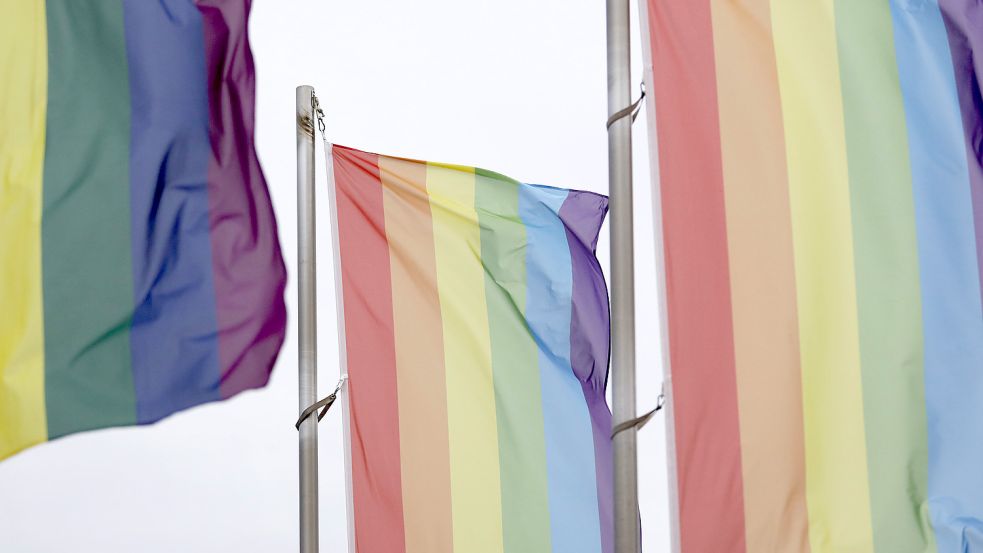 Die Regenbogenflagge steht seit mehr als 40 Jahren als Symbol für weltweite Gleichberechtigung. Foto: imago images/ Christoph Hardt