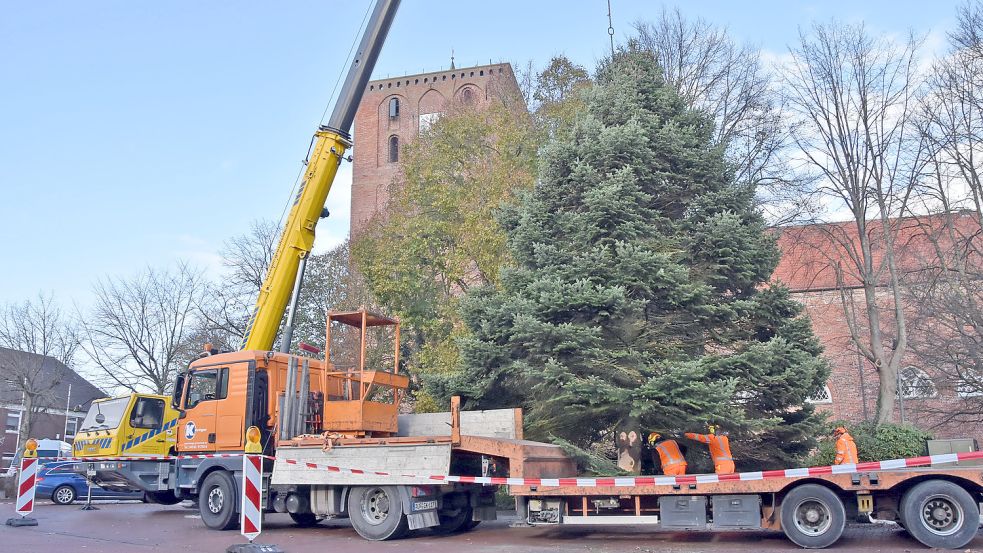 Ein Autokran hievte den Weihnachtsbaum von einem Tieflader an seinen Standort auf dem Marienhafer Marktplatz. Foto: Thomas Dirks