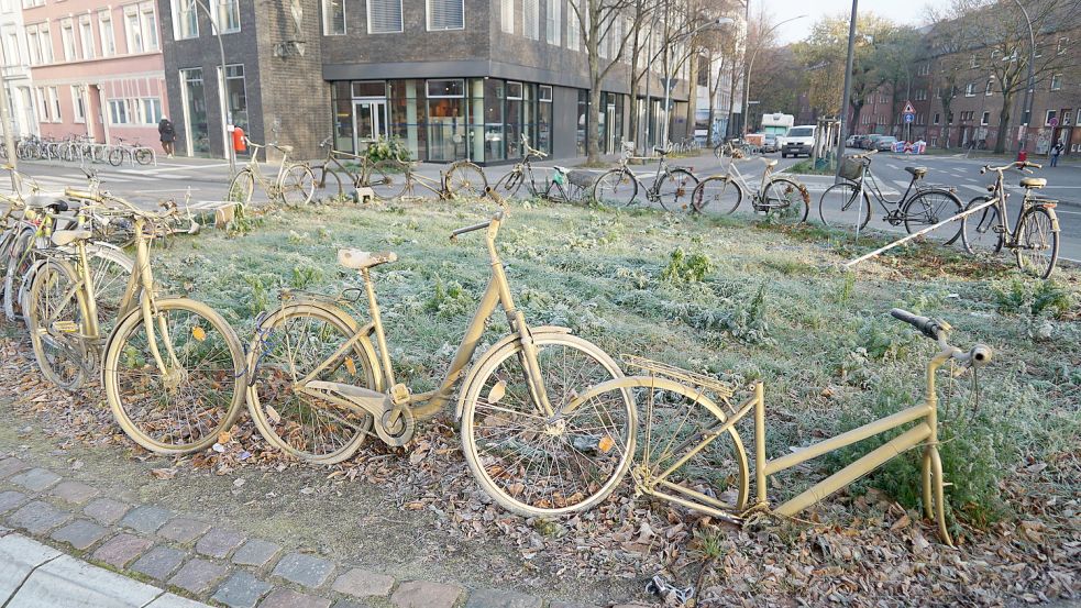 Die ersten Fahrräder sind schon umgefallen oder vermissen Hinterrad und Sattel. Foto: CityNewsTV