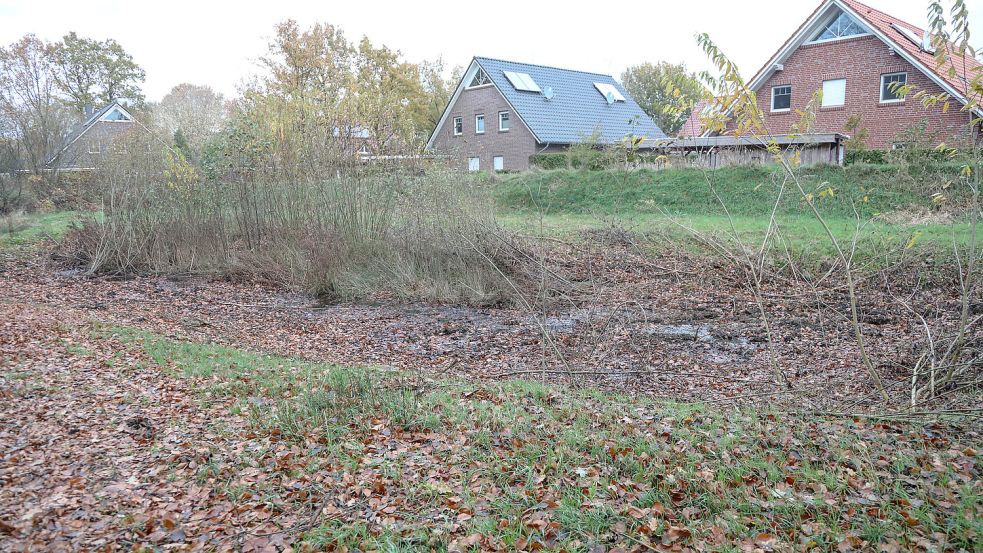 Die Anlage an der Sandhorster Allee ist trocken und füllt sich erst, wenn es stark regnet. Foto: Romuald Banik