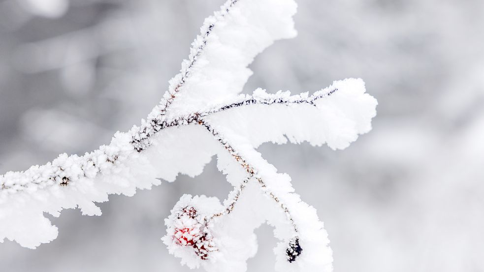 In Teilen Niedersachsens schneit es diese Woche. Foto: Imago Images/Jan Eifert