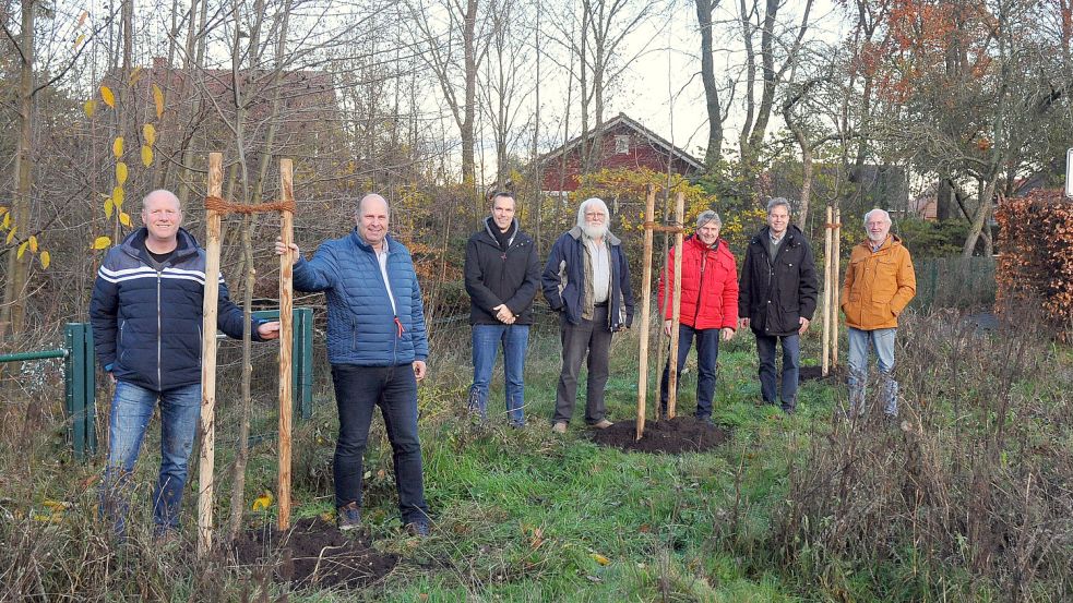 Bei der Förderschule in Großefehn wurden jetzt drei Winterlinden gepflanzt. Darüber freuen sich die Mitglieder des Arbeitskreises „Großefehn blüht!“ Günther Siefken (von links), Wolfgang Dirksen, Udo Schöttler, Focke Focken, Walter Vogt, Ralf Biller und Helmut Hanssen. Foto: privat