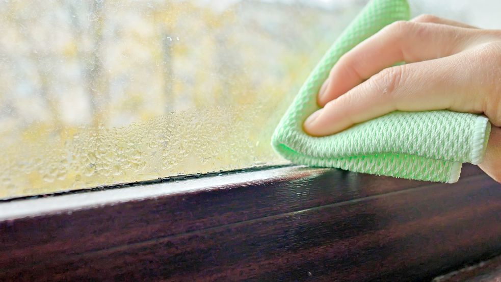Kondenswasser an Fensterscheiben sollte mit einem Tuch weggewischt werden, um Schimmelbildung zu verhindern. Foto: imago images/Shotshop