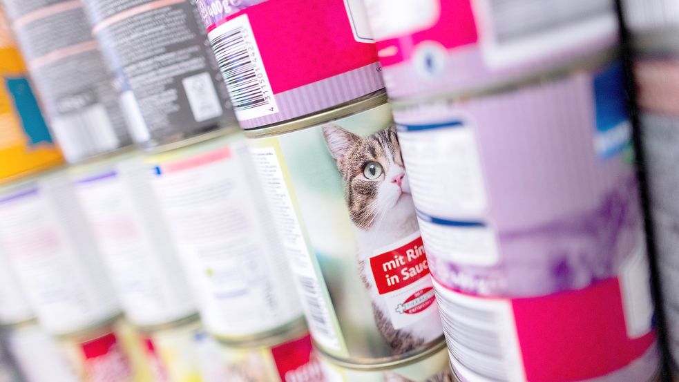 Dass Futter immer teurer wird, trifft nicht nur die Halter, sondern auch den Verein selbst, der etliche Katzen in Pflegestellen aufnimmt und eine Katzenauffangstation betreibt. Foto: DPA