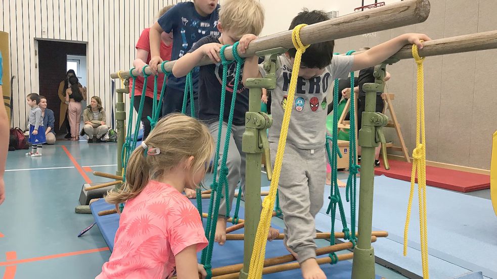 Beim Abenteuer-Turnen vor drei Jahren kamen die Kinder beim MTV auf ihre Kosten. Foto: privat