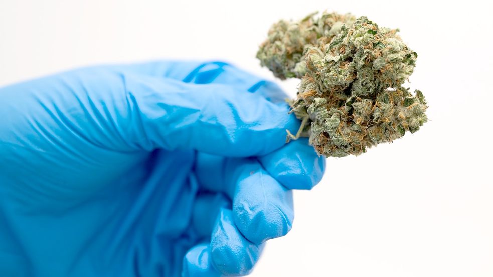 Unter anderem handelte der Verurteilte mit Marihuana. Foto: DPA