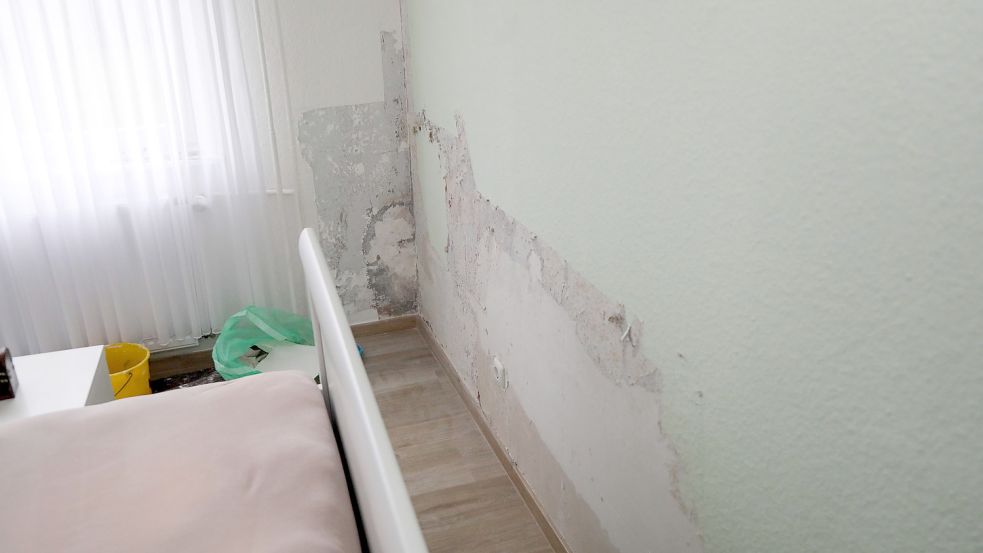 Dort, wo die Schlafzimmerwand eine Außenwand ist, hatte sich hinter der Tapete Schimmel gebildet. Foto: Romuald Banik