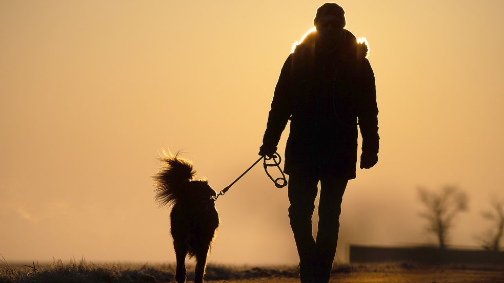 Ein Mann geht mit seinem Hund an der Leine am frühen Morgen spazieren. Foto: DPA