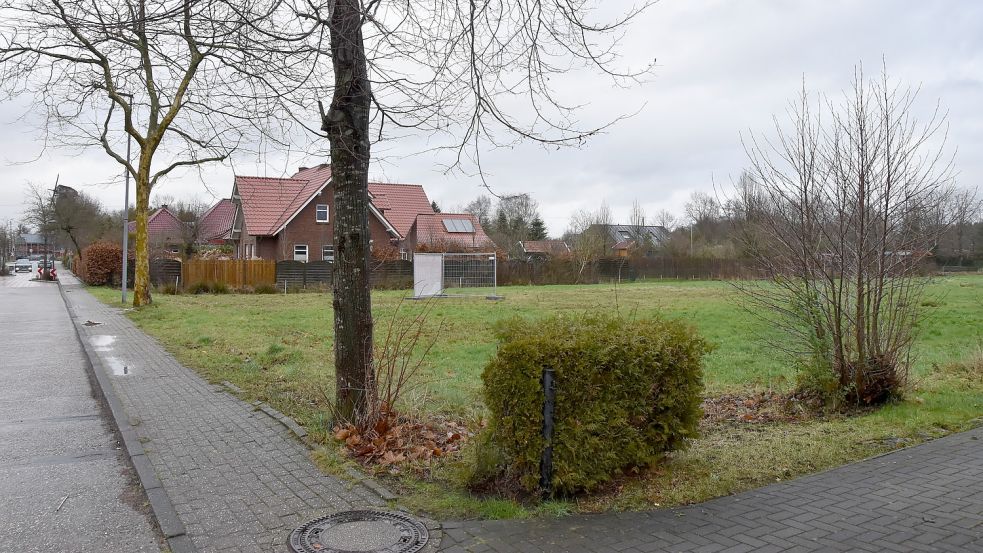 Auf diesem Grundstück am Mühlenloog in Upgant-Schott wollen Investoren mehrere Wohnhäuser bauen. Foto: Thomas Dirks