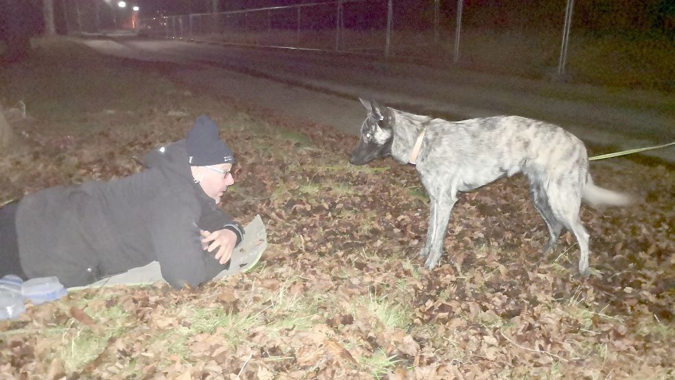 Drago macht gerade seine ersten Übungen. Deshalb ist der Auricher DRK-Hundestaffelführer Jens Wallenstein leicht zu finden. Es geht zu Beginn darum, dass der acht Monate alte Suchhund in Ausbildung lernt, lange genug zu bellen, wenn er jemanden findet. Zur Bestätigung gibt es ein Leckerli. Foto: Karin Böhmer