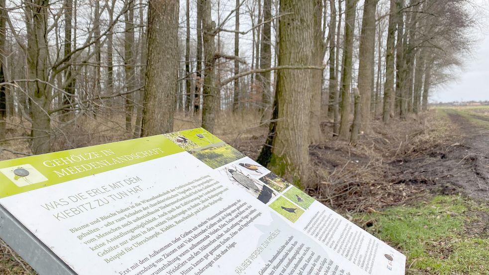 Auf einem Hinweisschild am betroffenen Waldstück steht, welche Auswirkungen Gehölze in der Meedenlandschaft haben. Foto: Holger Janssen