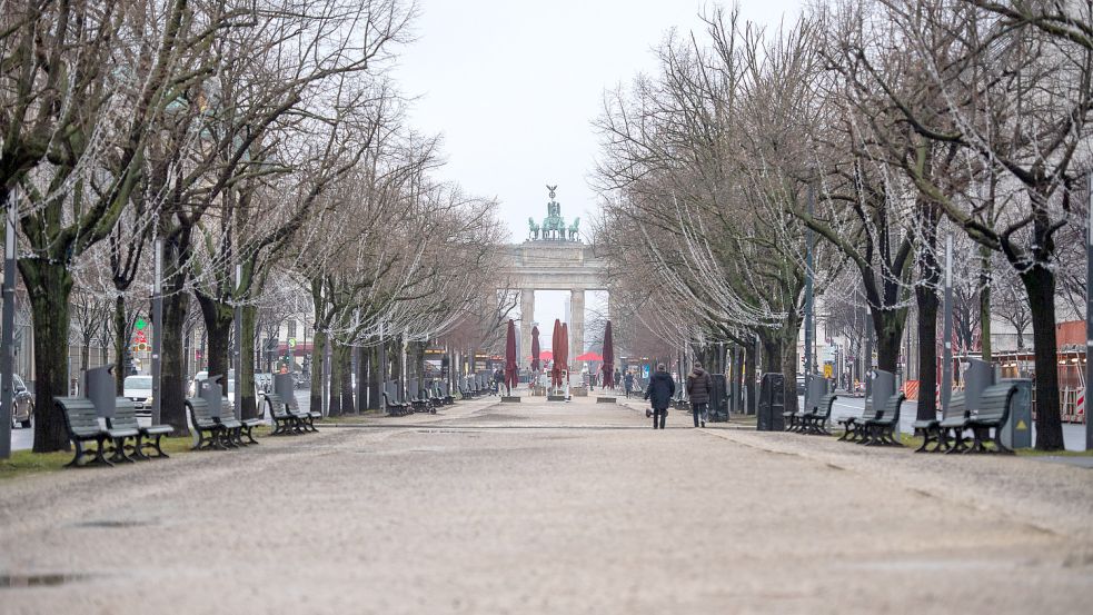 Unter den Linden in Berlin sollen die Bäume gefällt werden. Was steckt dahinter? Foto: dpa