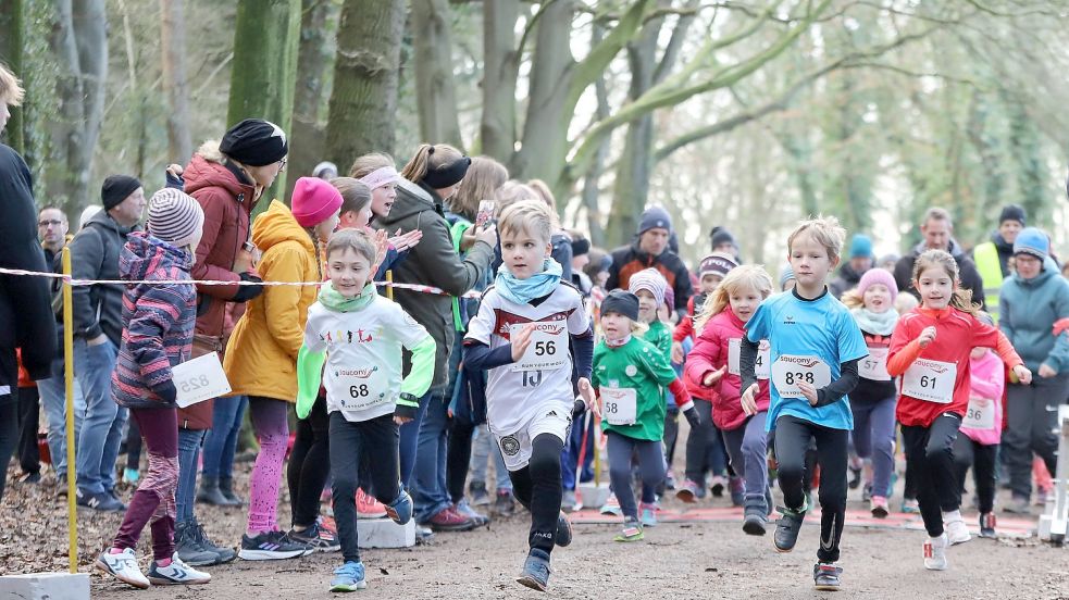 Vor einer anschaulichen Kulisse im Wallinghausener Wald waren Mädchen und Jungen am Sonnabendmittag bei den Bambini- und Schülerläufen unterwegs.