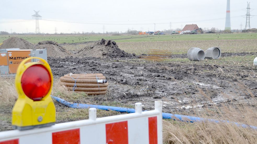 Hier im Widdelswehrster Hammrich östlich von Emden soll das weitere Umspannwerk entstehen. Foto: Aiko Recke