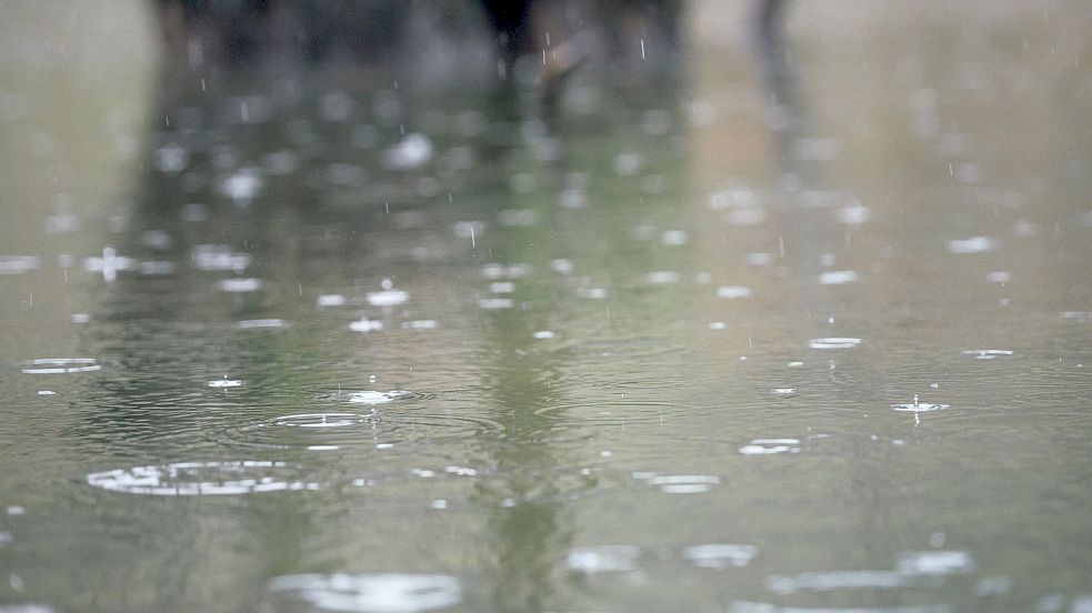 Regentropfen fallen auf die Wasseroberfläche eines Bachs. Foto: DPA
