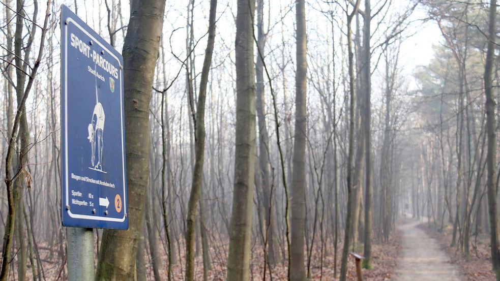 Entlang des Trimm-Dich-Pfades gibt es kein Laub auf dem Weg. Foto: Heino Hermanns