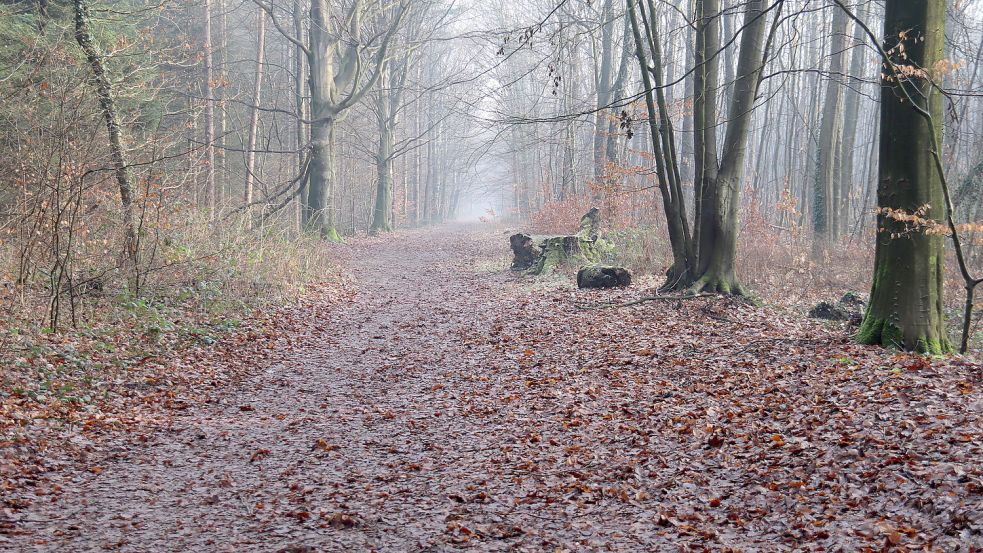 Die übrigen Wege bleiben unberührt. Foto. Heino Hermanns
