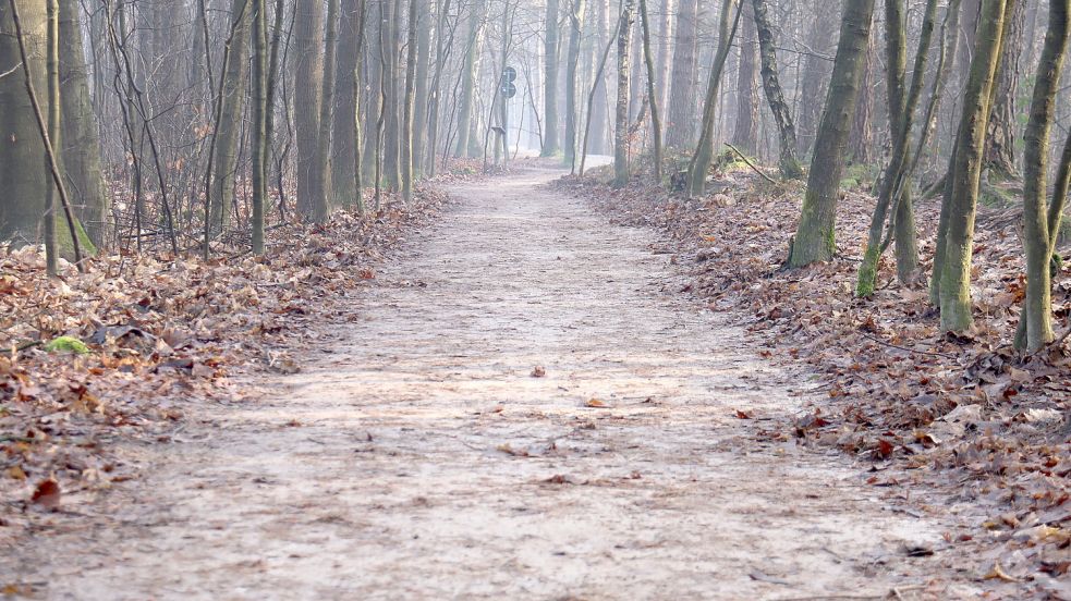 Mit dem Schlepper und einer Bürste wird der Waldweg gereinigt. Foto: Heino Hermanns