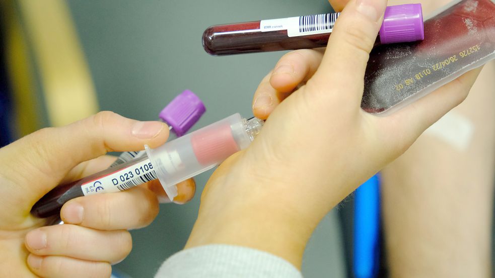 Die vielen Verletzten des Erdbebens erfordern derzeit mehr Blutspenden. Alle wichtigen Infos. Foto: IMAGO IMAGES/Pixsell