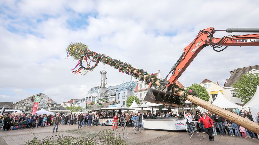 Der Auricher Maibaum wird am 30. April 2018 hochgezogen. Zuvor hatten viele Auricher zusammen den Baum auf dem Marktplatz geschmückt. Foto: Romuald Banik