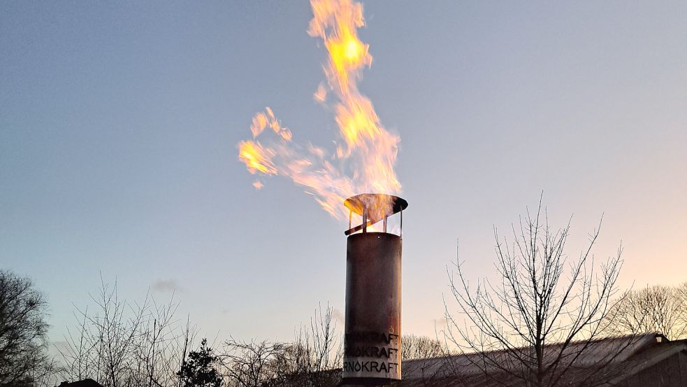 Allein im Januar hat Jens Soeken über die Fackel seiner Biogasanlage 44.000 Kubikmeter Biogas abgebrannt. Foto: privat