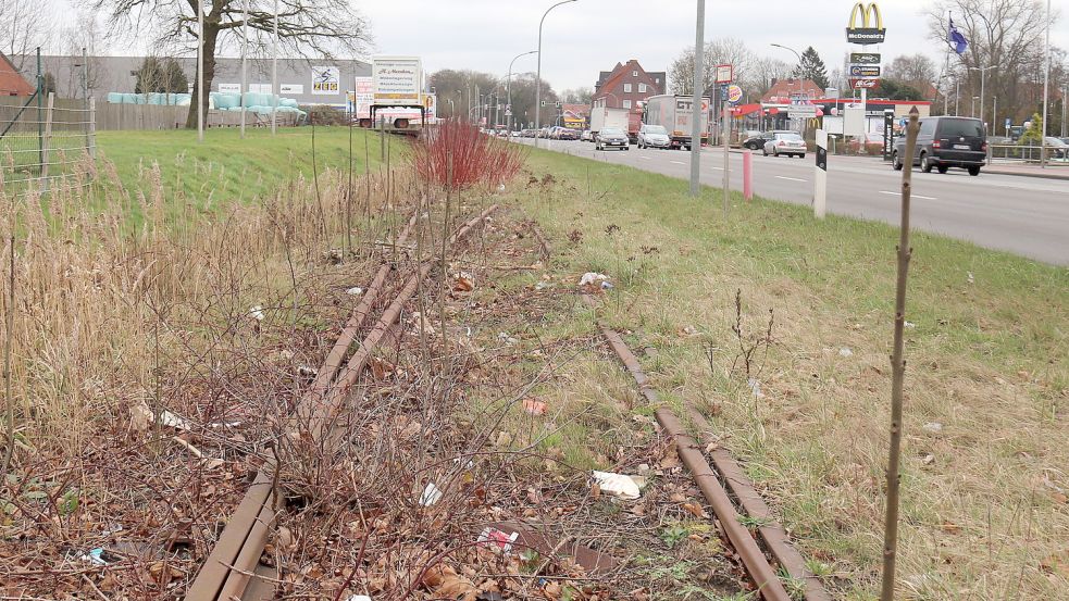 Seit Jahren zugewachsen: Stillgelegte Gleise an der Emder Straße in Aurich.Foto: Heino Hermanns