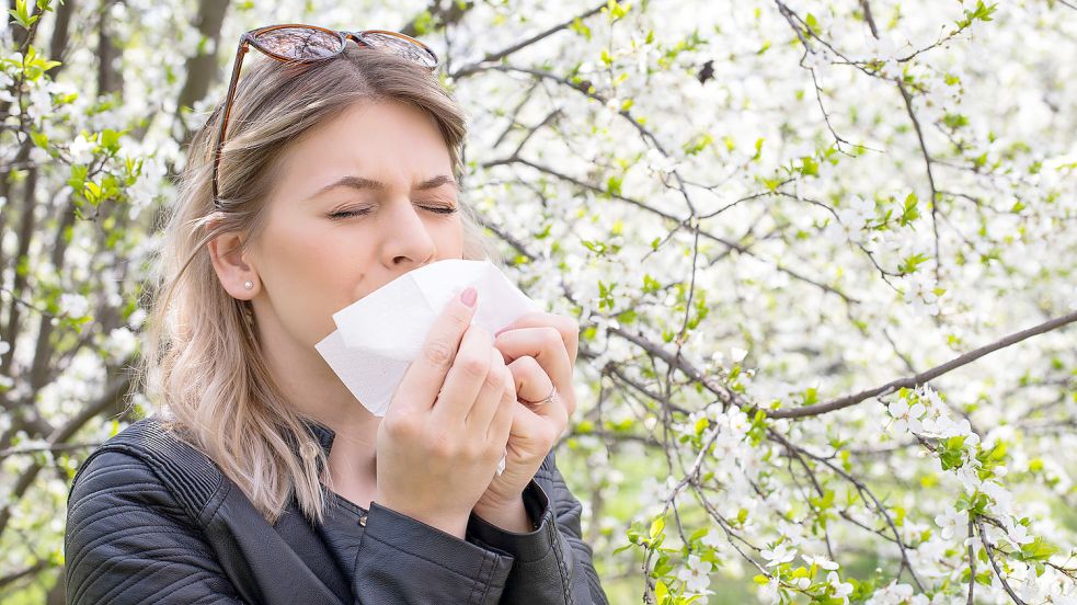Birke, Hasel, Gräser: Viele Menschen in Deutschland leiden an Heuschnupfen. Foto: dpa/Ocskay Mark