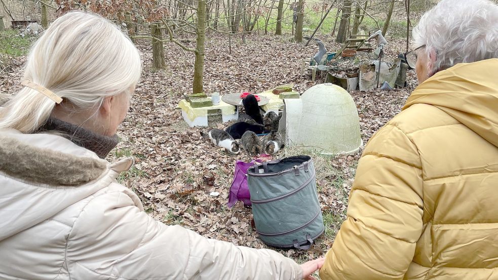 Uschi Cassens (links) und Chris Schlonsak bringen täglich Futter zu den Katzen. Die beiden Frauen haben auch regenfeste Unterschlupfmöglichkeiten für die Tiere gebaut. Foto: Janßen