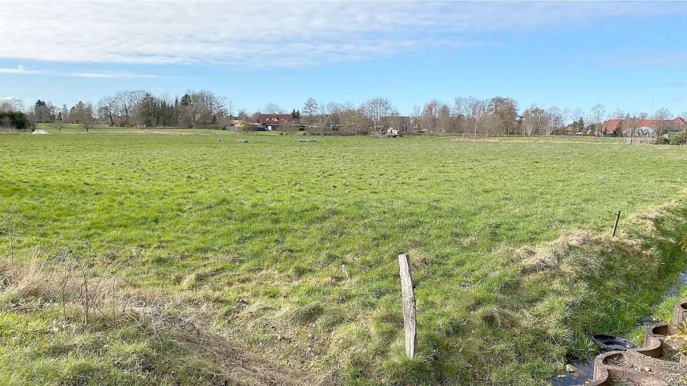 Auf einer Weide sollen künftig Häuser stehen. Foto: Holger Janssen