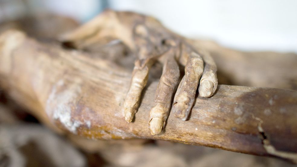Rund 600 bis 800 Jahre alt soll der Mumienfund in Peru Berichten zufolge sein. Foto: dpa/Julian Stratenschulte