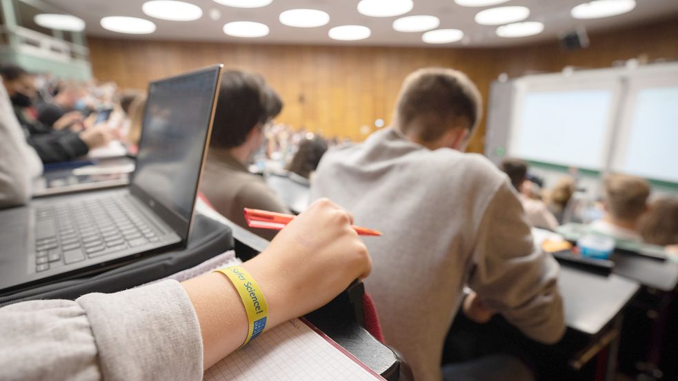 Ein IT-Student aus Darmstadt erkannte das Sicherheitsrisiko beim Antragsverfahren für das geplante Studenten-Hilfsgeld. Foto: dpa/Julian Stratenschulte