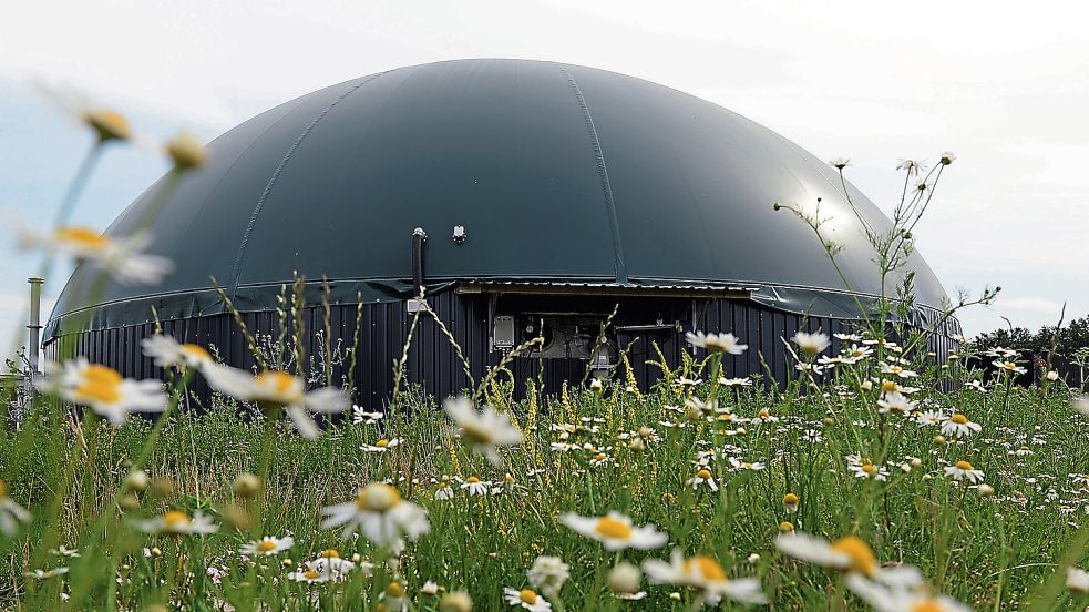 Eine Biogasanlage in ländlicher Idylle. Im Wittmunder Stadtgebiet gibt es drei solcher Anlagen, deren Betreiber sich zusammengeschlossen haben, um ihre Ressourcen künftig effektiver nutzen zu können. Foto: DPA-Bildfunk/Archiv