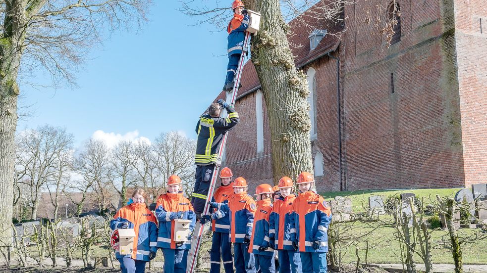 Die Feuerwehrjugend hängte im Osteeler Ortskern Nistkästen für Meisen auf. Foto: Folkert Bents