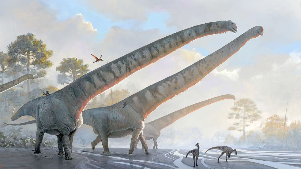 Halslänge von mehr als 15 Metern: Die Illustration des Natural History Museums zeigt Vertreter der Art Mamenchisaurus sinocanadorums. Foto: Julia D Oliveira/ Natural Histor/Natural History Museum via PA Media/dpa