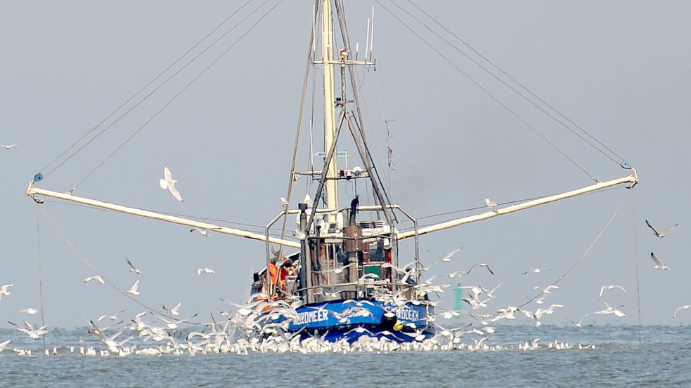 Ein Krabbenkutter vor dem Strand von Norddeich. Foto: DPA