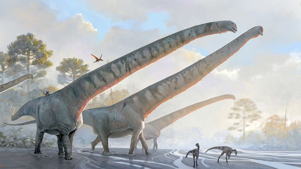 Die undatierte Illustration des Natural History Museums zeigt „Mamenchisaurus sinocanadorums“. Foto: Julia D Oliveira/ Natural Histor/Natural History Museum via PA Media/dpa