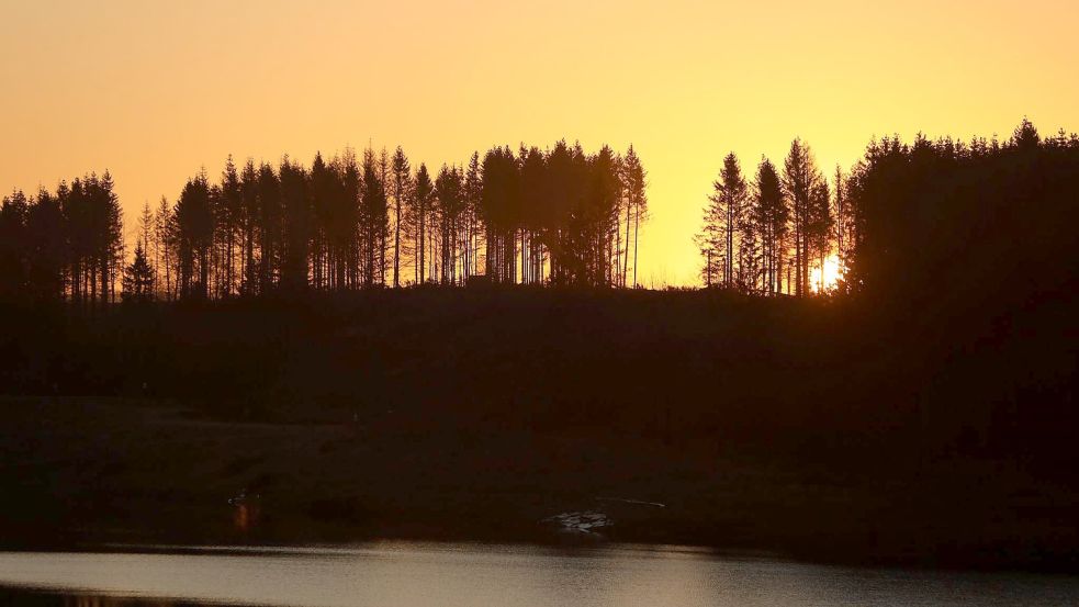 Am Abend des 20. März beginnt auf der Nordhalbkugel der Frühling. Foto: Matthias Bein/dpa-Zentralbild/dpa