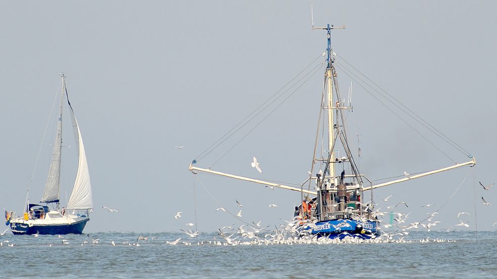 Ein Krabbenkutter vor Norddeich. Foto: DPA