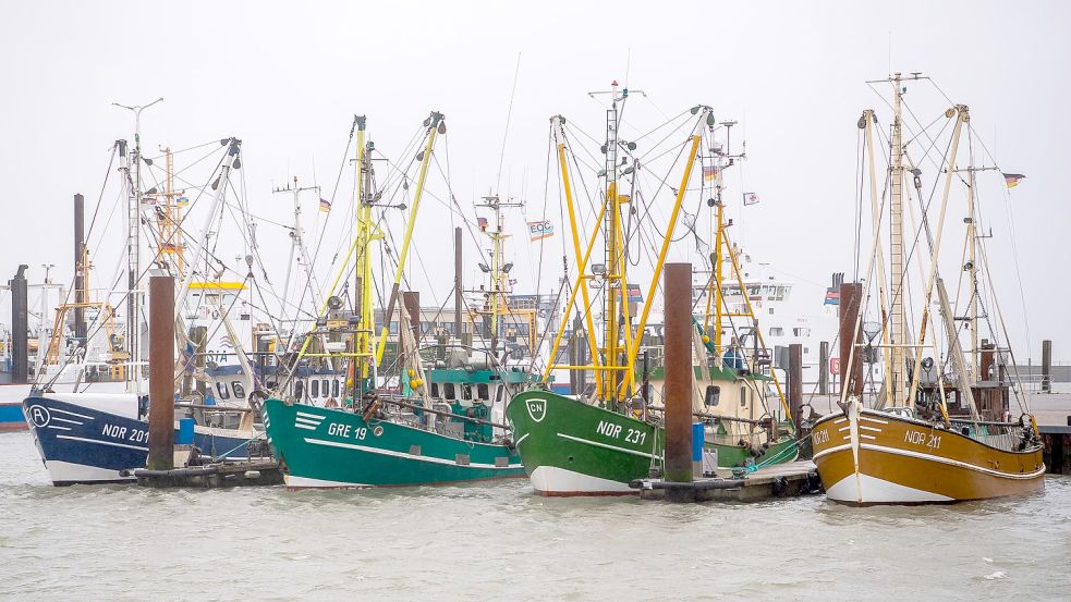 Die Norddeicher Krabbenfischer machen sich am Donnerstag auf den Weg nach Büsum, um gegen das Schleppnetzverbot zu demonstrieren. Foto: DPA